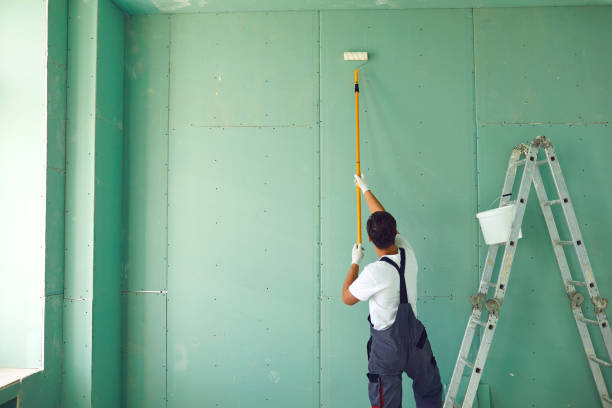 Best Post-Construction Mold Inspection  in Wliamsvle, IL