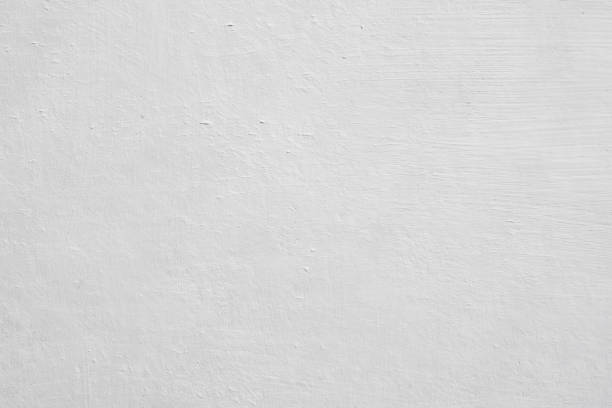Best Emergency Mold Remediation  in Wliamsvle, IL