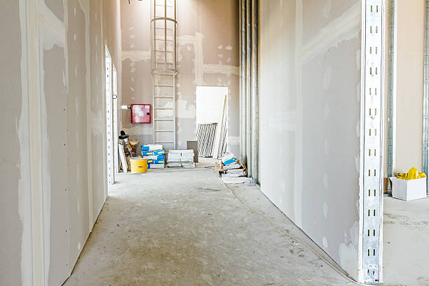 Williamsville, IL Mold Removal Company