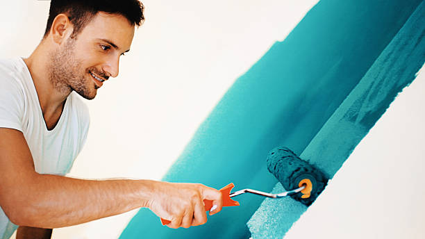 Best Comprehensive Air Testing for Mold Contaminants  in Wliamsvle, IL